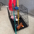 1535539-14 Stroller, golf cart, dog basket, etc.