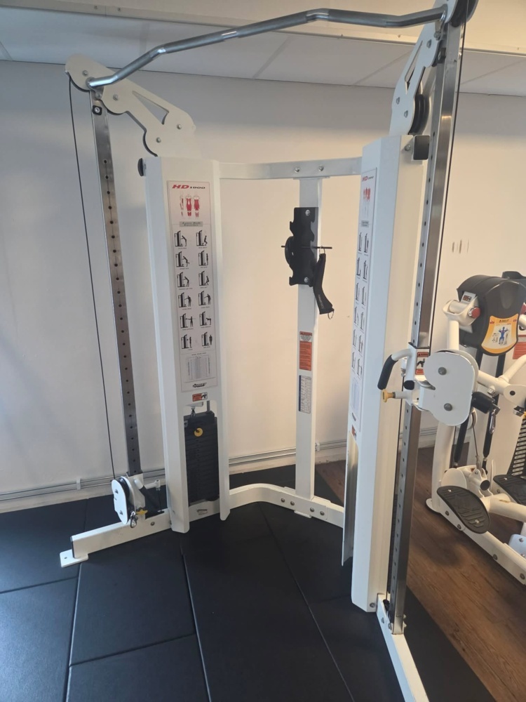 1475428-1 DAP (Dual Adjustable Pulley) - Hoist Fitness