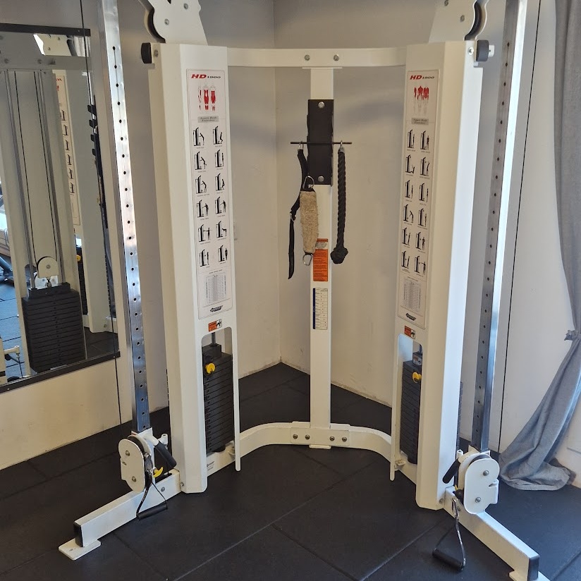 1475428-2 DAP (Dual Adjustable Pulley) - Hoist Fitness