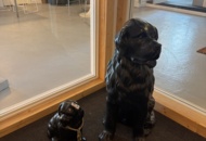 1533308 Ornamental figures dogs 2 pcs - earthenware