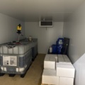 1529439-10 Kylrum - CIBIN LAIKA EL 15225N-04 -2019
