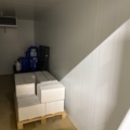 1529439-12 Kylrum - CIBIN LAIKA EL 15225N-04 -2019