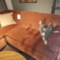 1546452-2 Soffa, soffbord, taklampa, m.m. - Easy Sofa, Mavis