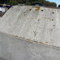 1531950-19 Släpvagn Brenderup med kåpa 1000 kg 2017