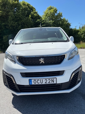 1436413-2 Peugeot Expert Panel Van 1.2t 2.0 BlueHDi 120 Manuell, 122hk, -2019
