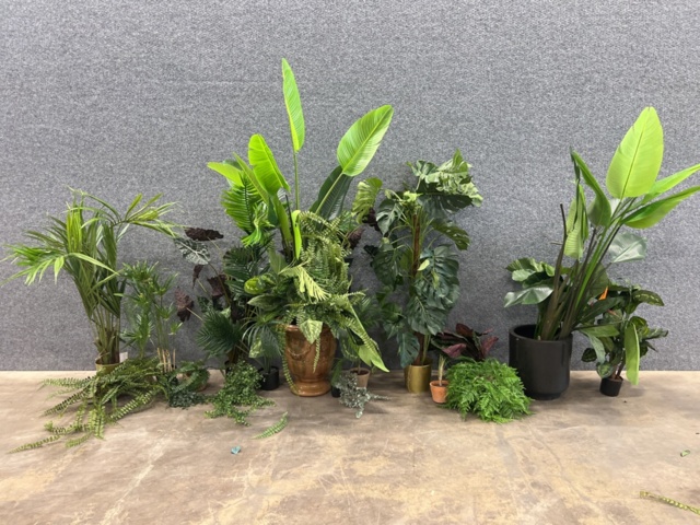 1546364-1 Approximately 14 artificial plants