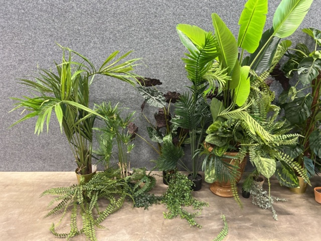 1546364-2 Approximately 14 artificial plants