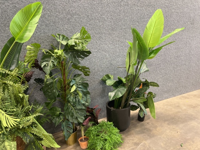 1546364-4 Approximately 14 artificial plants