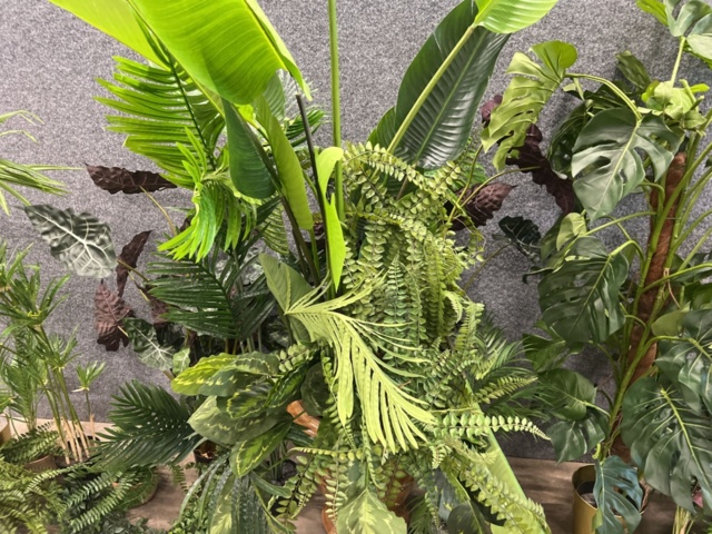 1546364-5 Approximately 14 artificial plants