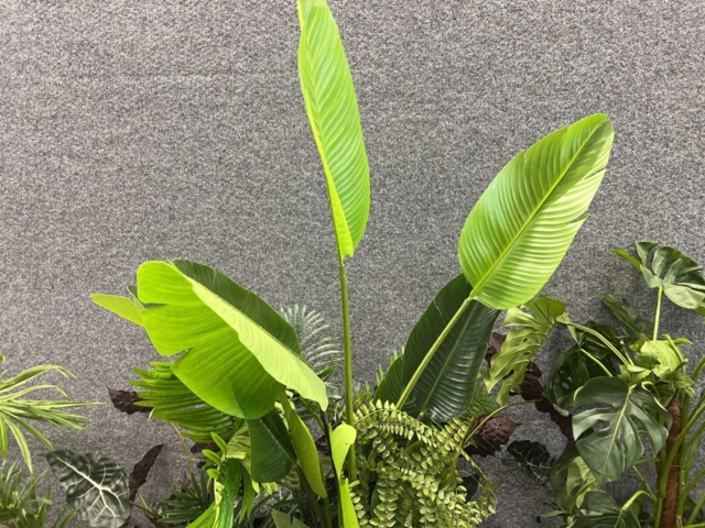 1546364-6 Approximately 14 artificial plants