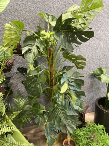 1546364-7 Approximately 14 artificial plants