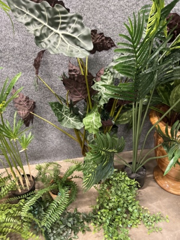1546364-10 Approximately 14 artificial plants