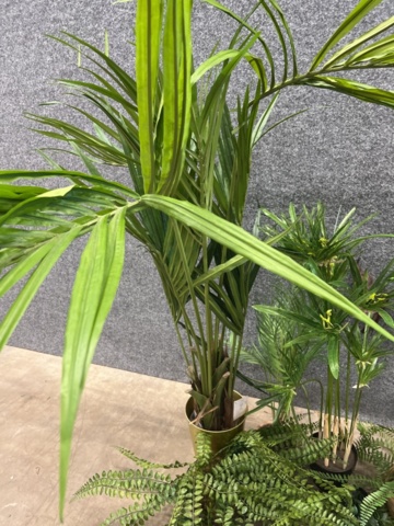 1546364-11 Approximately 14 artificial plants