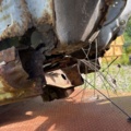 1504321-39 Mitsubishi L200 Club Cab 2.6 4WD Manual, 110hp, 1990