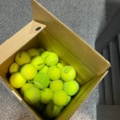 1550104-1 Padelbollar