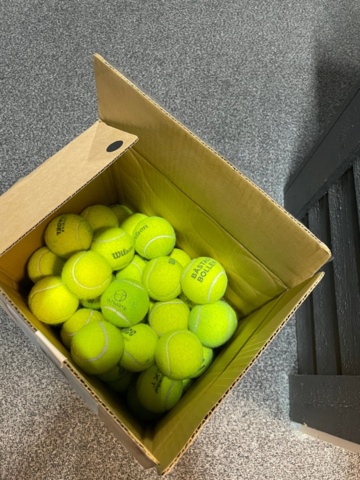 1550104-1 Padelbollar
