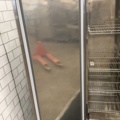 1473507-7 Freezer - Haglund -2022