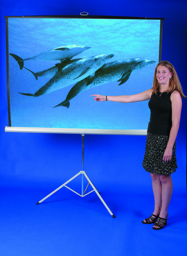 1551488-1 Projector screen - AVPro, AVPT005, 244x183 cm