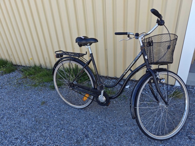 1546498-2 Damcykel Crescent 28"