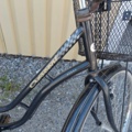 1546498-3 Damcykel Crescent 28"
