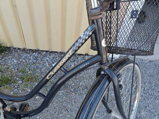 1546498-3 Damcykel Crescent 28"