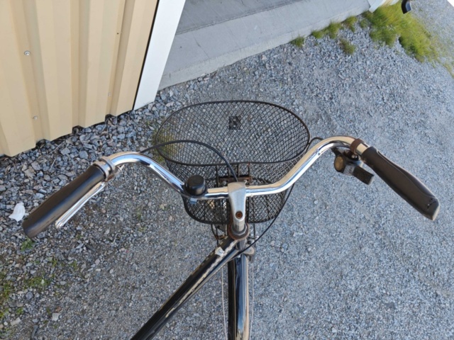 1546498-7 Damcykel Crescent 28"