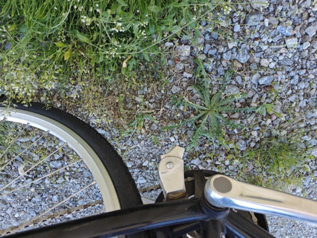 1546502-8 Herrcykel Yosemite singel speed 28"
