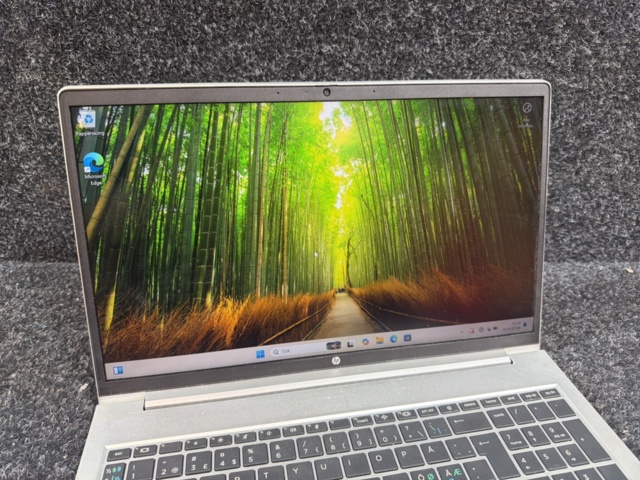 1419907-3 Bärbar dator - HP ProBook 450 G8