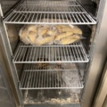 1473544-7 Dubbel - Restaurangfrys