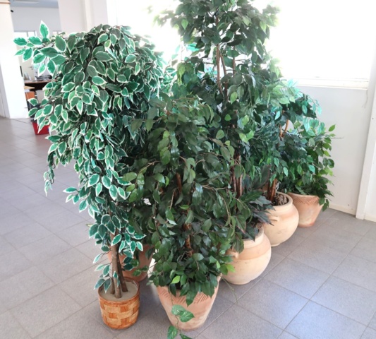 1070501-2 Blomgrupper