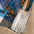 1554563-9 Dishwashing trolley & dishwashing trays