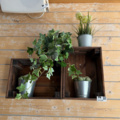 1516182-4 Various interior details