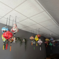 1516184-4 Ceiling lamps 55 pcs