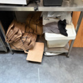 1516196-1 Kitchen counter