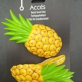 1537296-6 Handduksklämmor, 19 st - Accés, flamingo-, ananas- och papegojmotiv