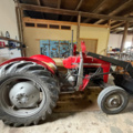 1531244-5 Massey Ferguson 30 Diesel 1964 med frontlastare och pallgafflar – Fungerar