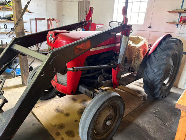 1531244-6 Massey Ferguson 30 Diesel 1964 med frontlastare och pallgafflar – Fungerar