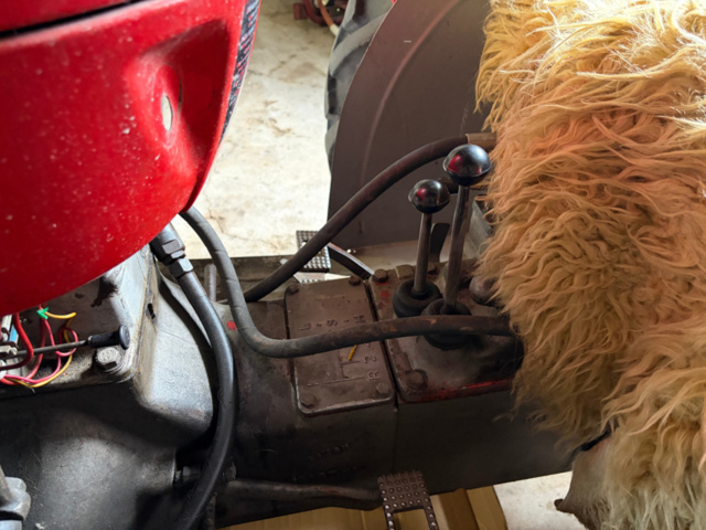 1531244-13 Massey Ferguson 30 Diesel 1964 med frontlastare och pallgafflar – Fungerar