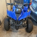 1516421-10 Quad bike (Repair item)