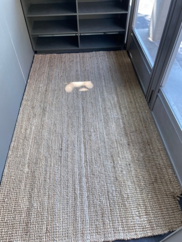 1557460-2 Shelf and carpet