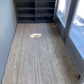 1557460-3 Shelf and carpet