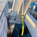1557519-6 Green Marine elektrisk vattenskoterlyft