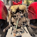 1531244-27 Massey Ferguson 30 Diesel 1964 med frontlastare och pallgafflar – Fungerar