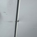 1405978-15 Citroën Berlingo Van Increased Payload 1.6 BlueHDi 75 8v Manual, 75hp, 2017