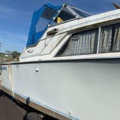 1516217-7 Motorbåt med båtvagn och motor - Coronet 24