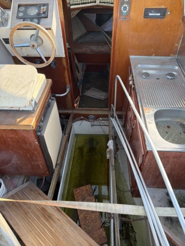 1516217-11 Motorbåt med båtvagn och motor - Coronet 24