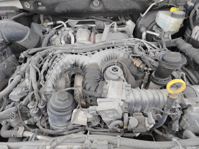 1484395-51 Volkswagen Amarok 2.9t 3.0 V6 TDI BMT 4Motion -2016