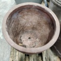 1557443-7 5 pcs Pots