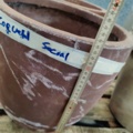 1557443-13 5 pcs Pots