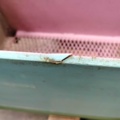 1557447-6 Utomhuskruka 1670*400*430mm